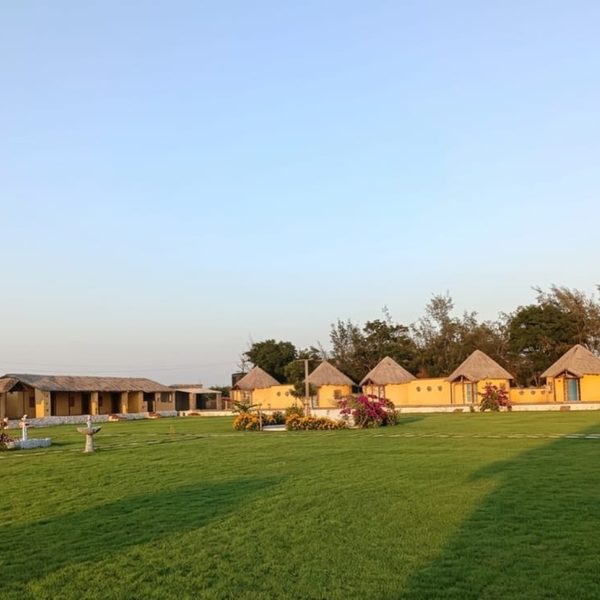 Garden Lawn